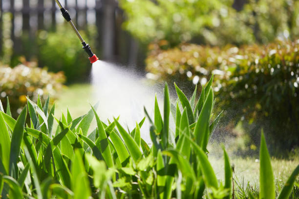 24/7 Emergency Termite Control experts in Carpinteria, CA